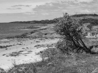 Hollanda 'nın kuzey denizindeki Ameland Adası