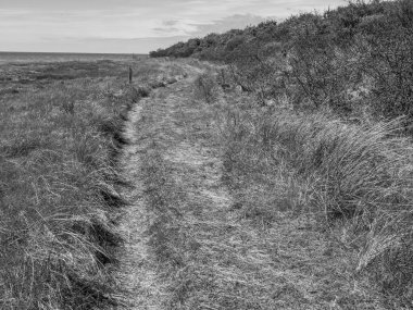 Hollanda 'nın kuzey denizindeki Ameland Adası