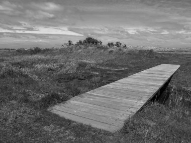 Hollanda 'nın kuzey denizindeki Ameland Adası