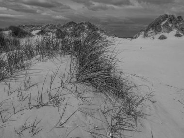 Hollanda 'nın kuzey denizindeki Ameland Adası