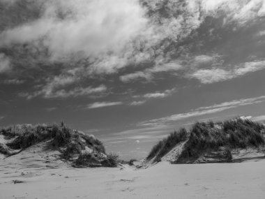 Hollanda 'nın kuzey denizindeki Ameland Adası