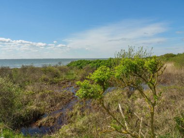 Hollanda 'nın kuzey denizindeki Ameland Adası