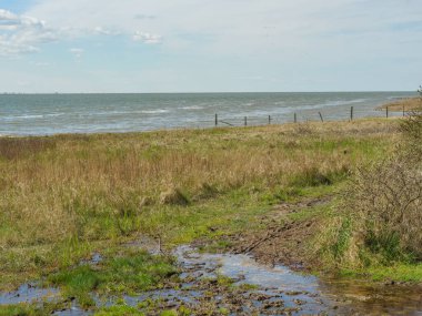 Hollanda 'nın kuzey denizindeki Ameland Adası