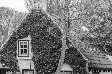 Hollanda 'nın kuzey denizindeki Ameland Adası