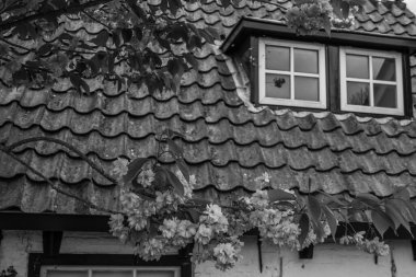 Hollanda 'nın kuzey denizindeki Ameland Adası