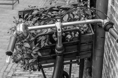 Hollanda 'nın kuzey denizindeki Ameland Adası