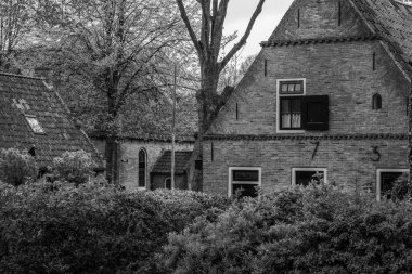 Hollanda 'nın kuzey denizindeki Ameland Adası