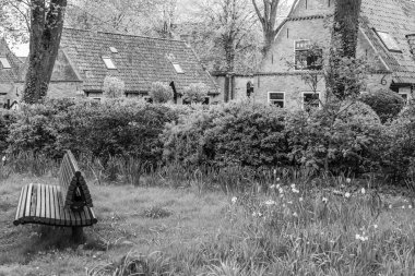 Hollanda 'nın kuzey denizindeki Ameland Adası