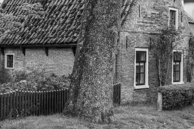 Hollanda 'nın kuzey denizindeki Ameland Adası