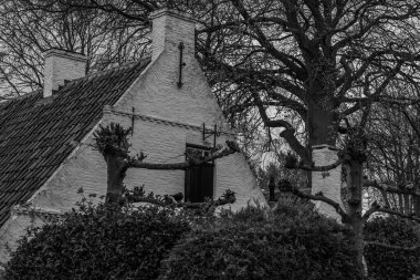 Hollanda 'nın kuzey denizindeki Ameland Adası