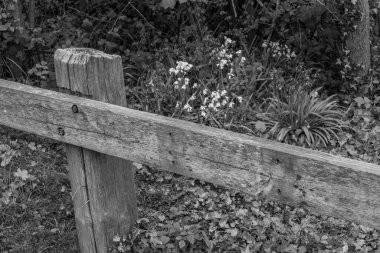 Hollanda 'nın kuzey denizindeki Ameland Adası