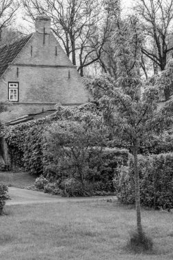 Hollanda 'nın kuzey denizindeki Ameland Adası