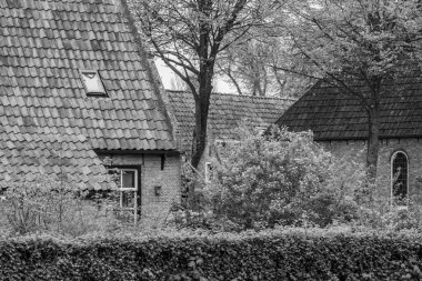 Hollanda 'nın kuzey denizindeki Ameland Adası