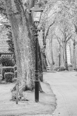 Hollanda 'nın kuzey denizindeki Ameland Adası