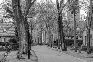 Hollanda 'nın kuzey denizindeki Ameland Adası