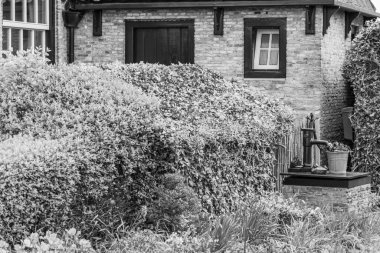 Hollanda 'nın kuzey denizindeki Ameland Adası