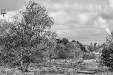 Hollanda 'nın kuzey denizindeki Ameland Adası