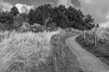 Hollanda 'nın kuzey denizindeki Ameland Adası