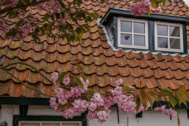 Hollanda 'nın kuzey denizindeki Ameland Adası