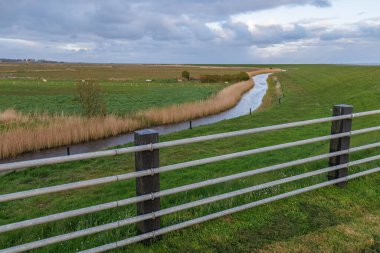 Hollanda 'nın kuzey denizindeki Ameland Adası