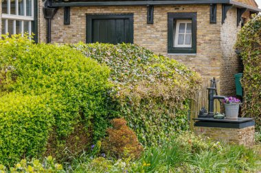 Hollanda 'nın kuzey denizindeki Ameland Adası