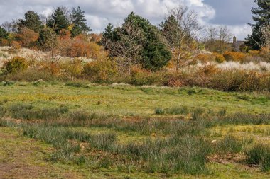 Hollanda 'nın kuzey denizindeki Ameland Adası