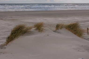 Hollanda 'nın kuzey denizindeki Ameland Adası