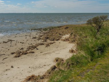 Hollanda 'nın kuzey denizindeki Ameland Adası