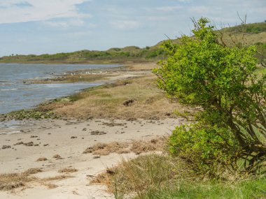 Hollanda 'nın kuzey denizindeki Ameland Adası
