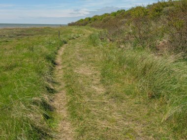 Hollanda 'nın kuzey denizindeki Ameland Adası