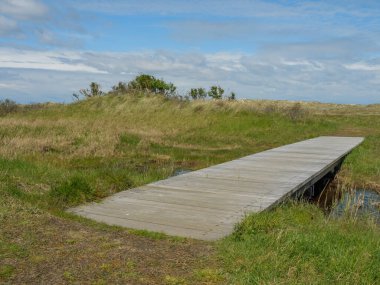 Hollanda 'nın kuzey denizindeki Ameland Adası