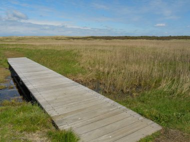 Hollanda 'nın kuzey denizindeki Ameland Adası