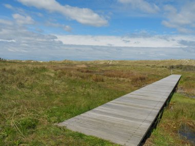 Hollanda 'nın kuzey denizindeki Ameland Adası