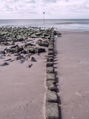 Hollanda 'nın kuzey denizindeki Ameland Adası