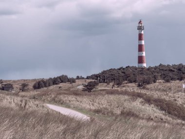 Hollanda 'nın kuzey denizindeki Ameland Adası