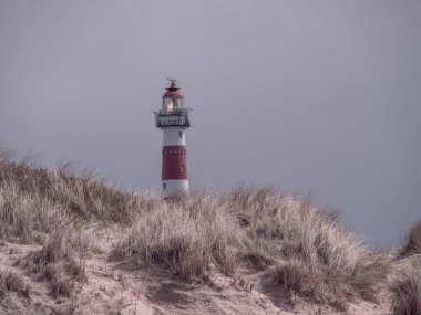 Hollanda 'nın kuzey denizindeki Ameland Adası