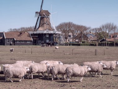 Hollanda 'nın kuzey denizindeki Ameland Adası