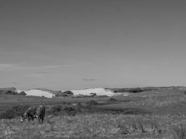 Hollanda 'nın kuzey denizindeki Ameland Adası