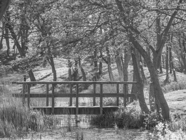 Hollanda 'nın kuzey denizindeki Ameland Adası