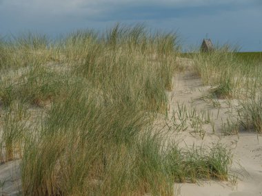 Hollanda 'nın kuzey denizindeki Ameland Adası
