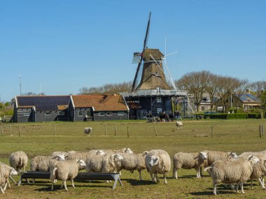 Hollanda 'nın kuzey denizindeki Ameland Adası