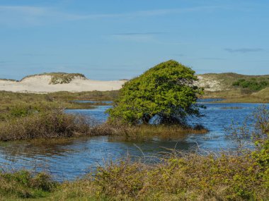 Hollanda 'nın kuzey denizindeki Ameland Adası