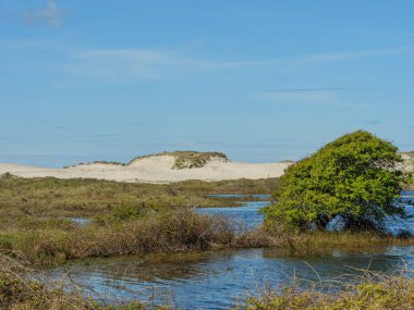 Hollanda 'nın kuzey denizindeki Ameland Adası