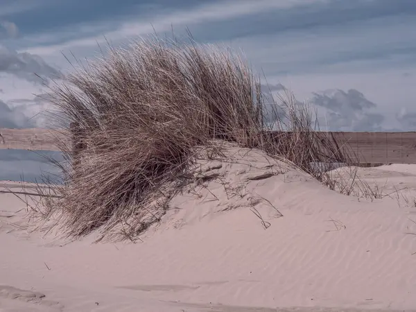 Hollanda 'nın kuzey denizindeki Ameland Adası