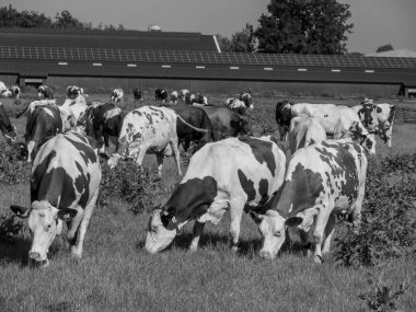 Hollanda 'daki Lichtenvoorde köyü.