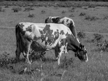 Hollanda 'daki Lichtenvoorde köyü.