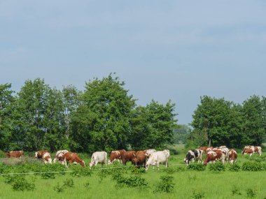 Hollanda 'daki Lichtenvoorde köyü.