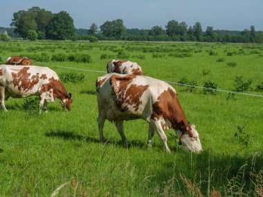Hollanda 'daki Lichtenvoorde köyü.