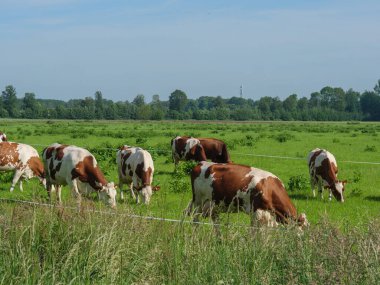 Hollanda 'daki Lichtenvoorde köyü.