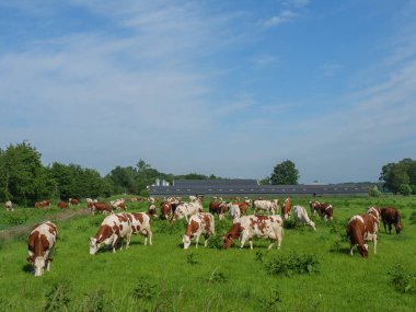 Hollanda 'daki Lichtenvoorde köyü.